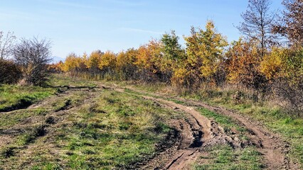 Fototapeta na wymiar road in the autumn forest