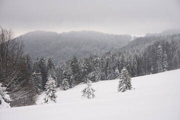 Zima w górach, Zima, Zimowy las, Góry zimą, Polskie Góry 