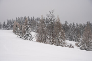 Zima w górach, Zima, Zimowy las, Góry zimą, Polskie Góry 