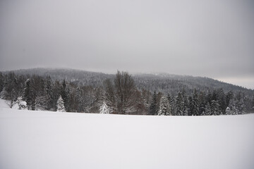 Zima w górach, Zima, Zimowy las, Góry zimą, Polskie Góry 