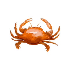 Watercolor of crab. Fresh organic seafood. Hand drawn vector illustration isolated on white background