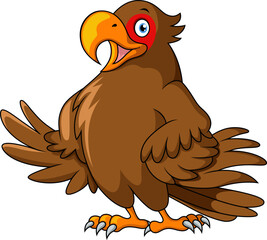 Cute brown cockatoo on white background