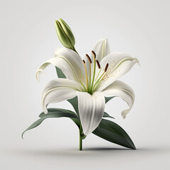 Lilie auf weißem Hintergrund isoliert (erstellt durch KI-Tool)