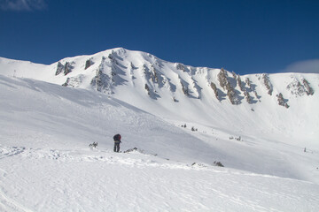 Fototapeta na wymiar Ski touring in mountains, winter freeride extreme sport. Skiing in the snowy mountains