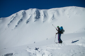 Naklejka na ściany i meble Ski touring in mountains, winter freeride extreme sport. Skiing in the snowy mountains