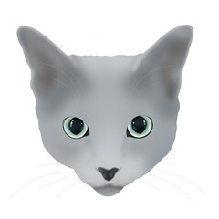 ロシアンブルーの顔