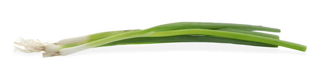 Fresh green spring onions on white background