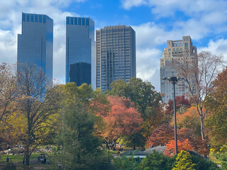 New York City, United States. 5th November, 2022. Fall Season hits New York City, colorful leaves are seen throughout Central Park. Credit: Ryan Rahman/Alamy Live News