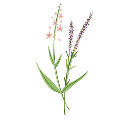 Field Flowers on Branch. Wildflower Icon. Hand Drawn