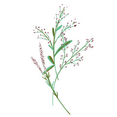 Field Flowers on Branch. Wildflower Icon. Hand Drawn