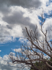 Styx_Mill_Reserve_12_Feb_2023