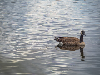 Styx_Mill_Reserve_12_Feb_2023