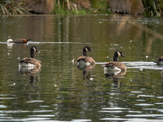 Styx_Mill_Reserve_12_Feb_2023