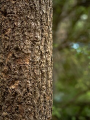 Obraz premium Styx_Mill_Reserve_12_Feb_2023