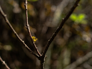 Styx_Mill_Reserve_12_Feb_2023