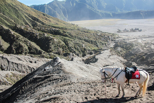 The Wonderful Mount Bromo at East Java