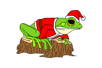 White-lipped tree Frog wearing a Santa Claus Christmas costume