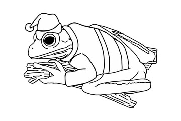 White-lipped tree Frog wearing a Santa Claus Christmas costume