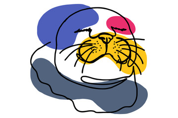 Colorful Cute Seals Head Line Art Vector