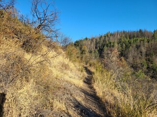 Narrow hiking trail cuts across the steep hillside in Northern California
