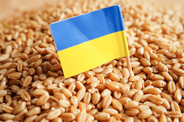 Ukraine on grain wheat, trade export and economy concept.