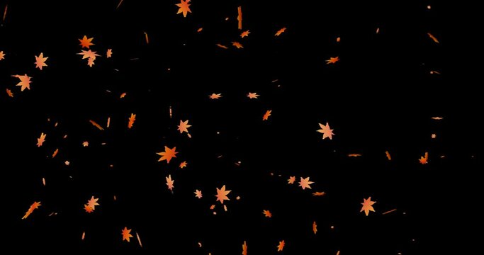 falling maple leaves backgrounds(transparent background/endless loop)
