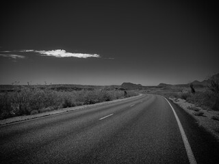 Fototapeta premium road in winter