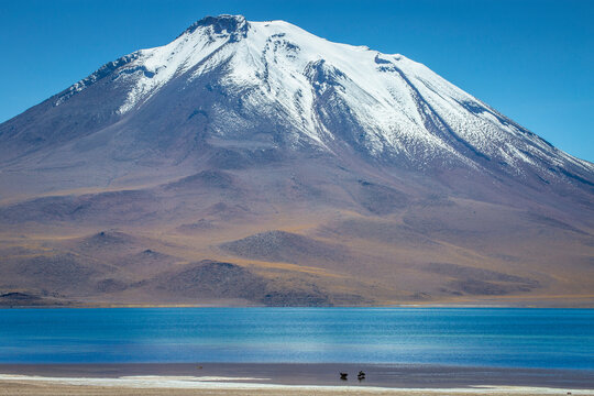 Salt lake, turquoise Laguna Miscanti, volcanic landscape at sunrise, Atacama