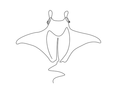 recommend clip art: Continuous one line drawing of manta ray. Simple illustration of stingray fish line art vector illustration