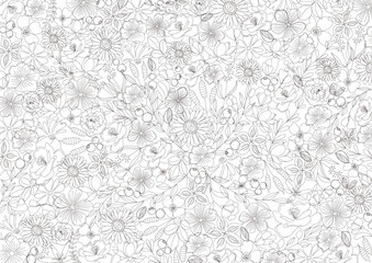 花　シンプル、線画、ナチュラル　美しい線画のボタニカル背景素材　Vector　Simple Line , Line Art 　Botanical , Flower , Black , Texture , Simple , Beautiful , Natural