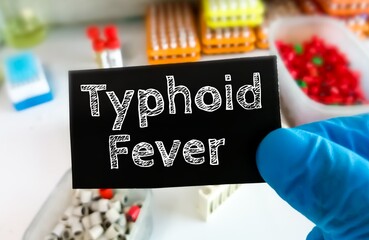 Doctor's hands in blue gloves shows the word typhoid fever. Medical concept. Sal