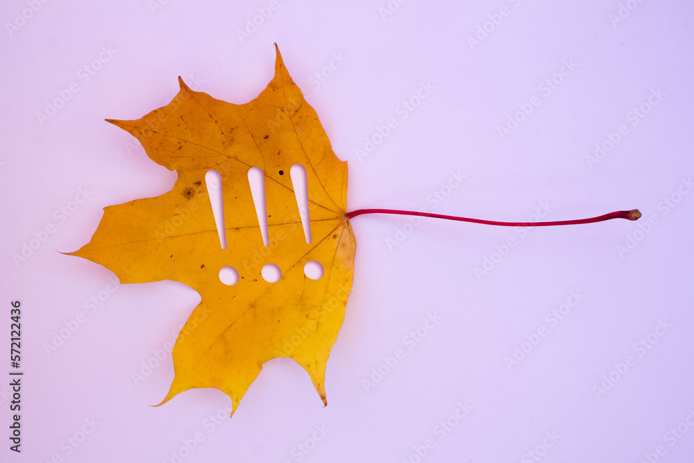 Poster autumn leaves, objects with exclamation mark text. natural patterns, color design.