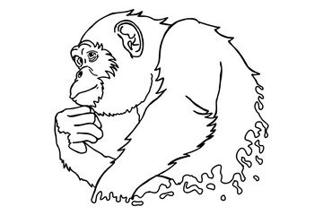 Chimpanzee thinking © Arief