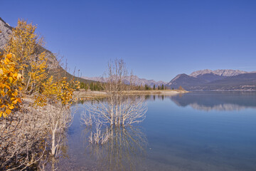 Fototapeta na wymiar A Beautiful, Clear Autumn Day at Lake Abraham