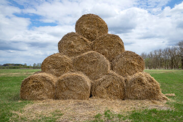 Pyramid of rolls of harvested hay close-up. Russia