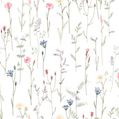 watercolor drawing seamless pattern with wild plants, field flowers, hand drawn illustration, floral background