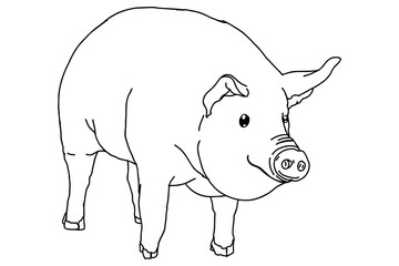 Pig Vector