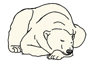 Polar Bear Sleeping