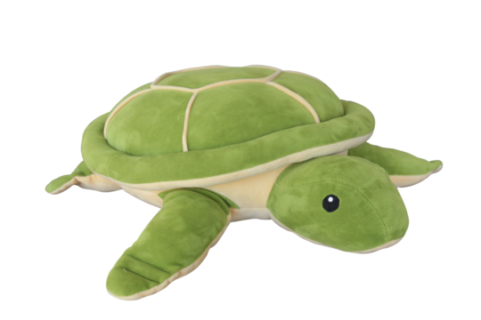 Green turtle doll isolated background.