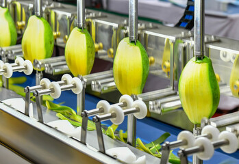 Automatic mango peeler machine production line on equipment machinery in factory	