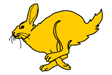 Golden Rabbit Run