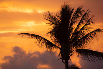 Playa de mazatl&aacute;n