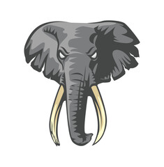 elephant cartoon illustration