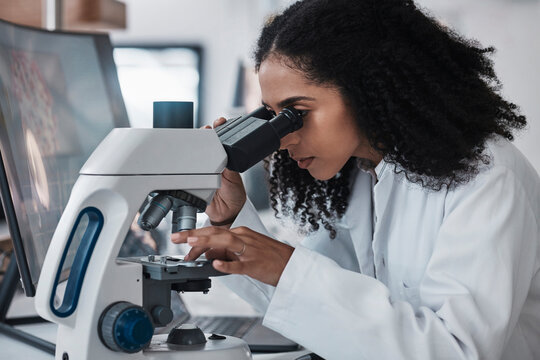 Science, microscope and slide with a doctor black woman at work in a lab for innovation or research. Medical, analysis and sample with a female scientist working in a laboratory on breakthrough