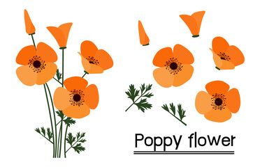Obraz na płótnie Canvas poppy flowers illustration