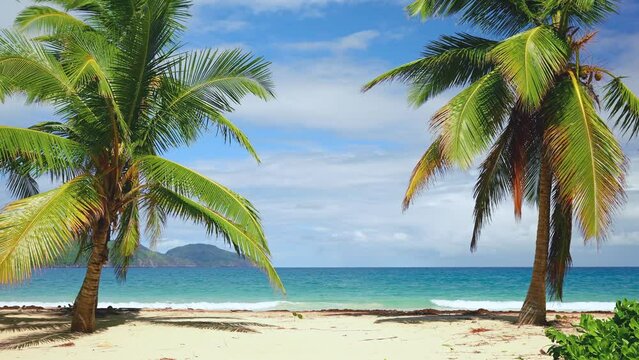 Palm beach with yellow sand, turquoise ocean, blue sky. Summer seascape background. The concept of rest and vacation. Coconut palms on a Caribbean tropical island.