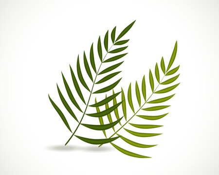 Palm Tree Religion Symbol of Good Friday - Palm tree leaves icon logo vector image design