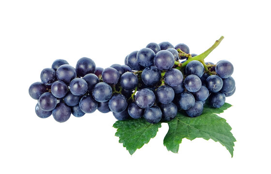 Black grapes.Isolated on transparent png