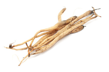 Closeup of Shatavari (Asparagus racemosus) roots, isolated on white background.