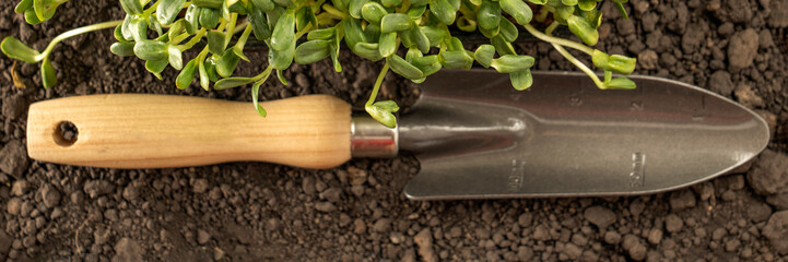 A narrow garden trowel with sprouts lying on the ground. Garden concept, the beginning of the season, the cottage.
